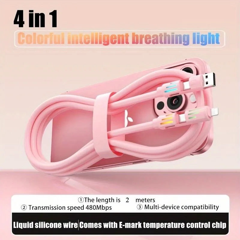 PowerLink Pro Fast Charge Cable